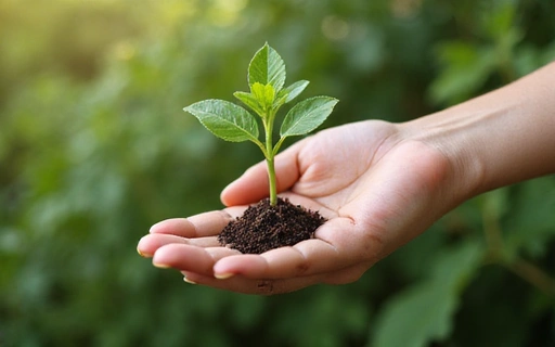 Mano che tiene un germoglio verde, simbolo di crescita e vita sana